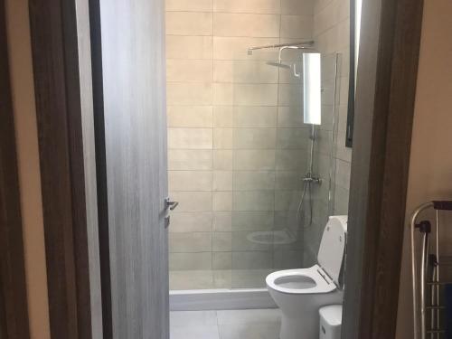 a bathroom with a white toilet and a shower at Chios Kampos Apartments in Varvásion
