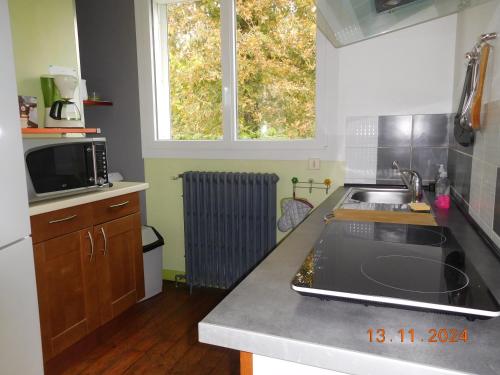 une cuisine avec un évier et un plan de travail dans l'établissement l'olivier, à Bouguenais