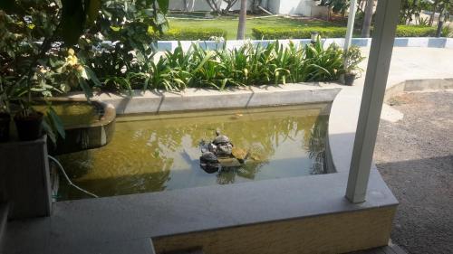 a fire hydrant in a pond in a garden at Mrugavani Resort & Spa in Hyderabad