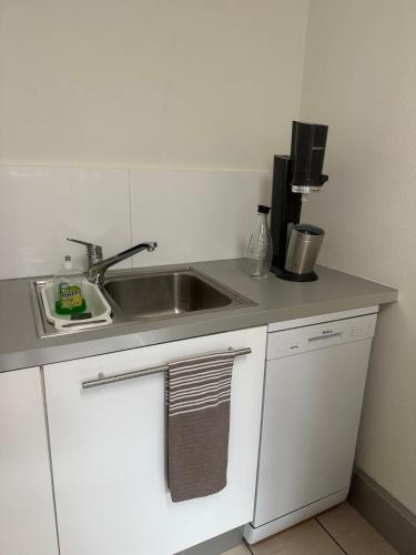 a kitchen with a sink and a counter top at Moderne 65m2 Wohnung mit Garten am Waldrand nähe Basel in Rodersdorf