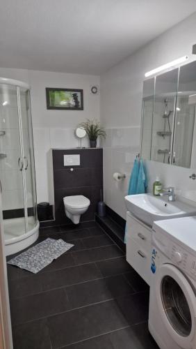 a bathroom with a toilet sink and a washing machine at Strandschnecke 2 in Scharbeutz
