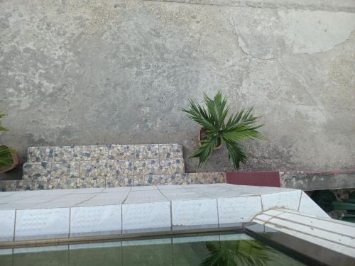 a couch sitting next to a concrete wall with a plant at HOTEL GEORGES 5 Bénin in Cotonou