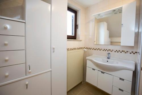 ein Bad mit einem Waschbecken und einem Spiegel in der Unterkunft Holiday House Klemenčič in Bohinj
