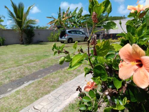 a car parked in a yard with a flower at Fleur d'Epine in Trou dʼ Eau Douce