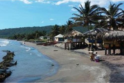 a beach with houses and a dog on the beach at 1 Bedroom Blissful Retreat - A C & Private Garden in Gravel Hill