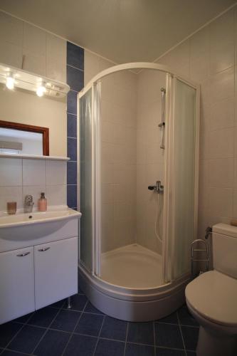 a bathroom with a shower and a toilet at Dolce Mare Apartmani in Pakoštane