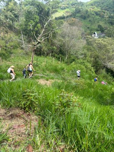a group of people walking in a field of grass at Finca turística el paraíso es aqui in Vergara