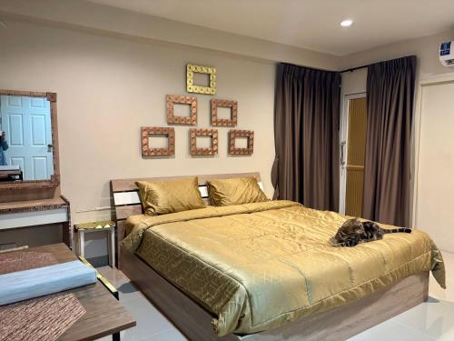 a bedroom with a bed with a cat laying on it at โรงพักบางระมาด by ModiCoff Café in Sathani Ban Chim Phali
