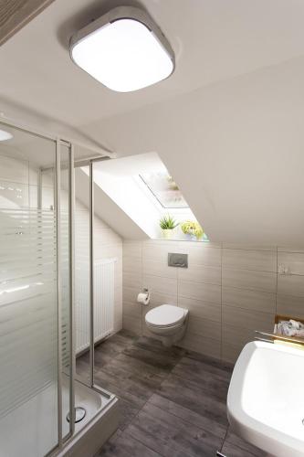 a bathroom with a toilet and a sink and a skylight at Ferienwohnung Saarschleife in Mettlach