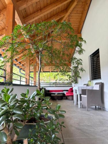 a room with a large tree in the middle of a building at Apartment Zimat in Chienes