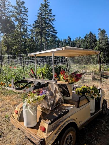 Сад в Quirky Farm Stay at Flower Beds Farm - Hot Tub