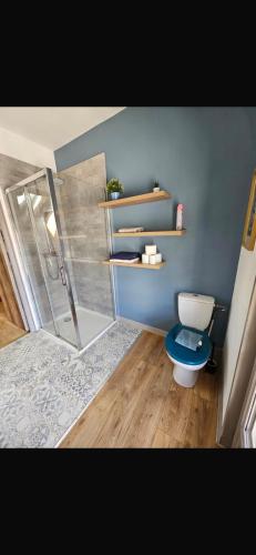 une salle de bain avec toilettes et douche en verre dans l'établissement AU COEUR De LA CITE MÉDIÉVALE, à Chinon