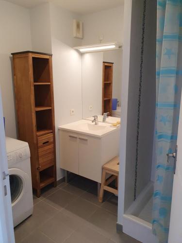 une salle de bain avec un lavabo et une machine à laver dans l'établissement Mer et pins, à Saint-Philibert