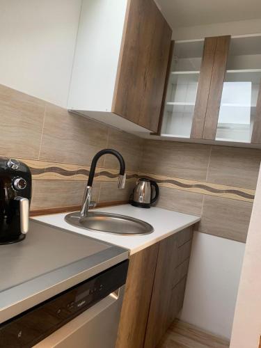 a kitchen with a sink and a counter top at Květinové apartmány Horní Planá in Horní Planá