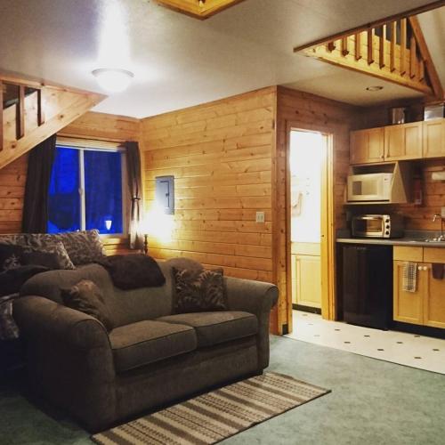 タルキートナにあるSusitna River Lodging, Riverside Cabinsのソファとキッチンのあるリビングルーム