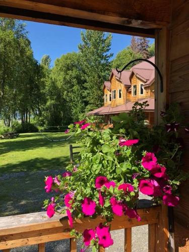タルキートナにあるSusitna River Lodging, Riverside Cabinsのピンクの花の窓
