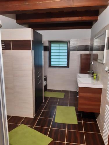 a bathroom with a sink and a mirror at Duhová sova in Jílové u Držkova