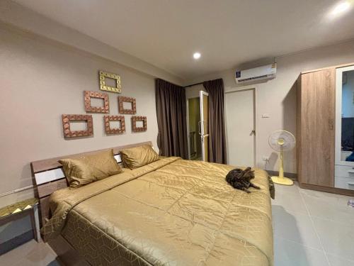a bedroom with a bed with a cat laying on it at โรงพักบางระมาด by ModiCoff Café in Sathani Ban Chim Phali