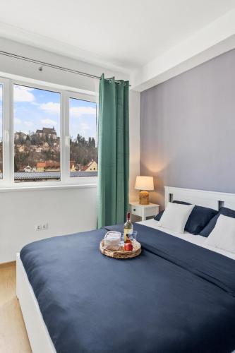 a bedroom with a large bed and a window at Apartment 42 in Sighişoara