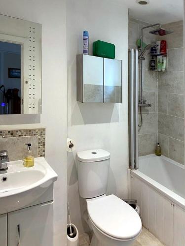 a white bathroom with a toilet and a sink at Residential 3 bed house Harnham in Salisbury