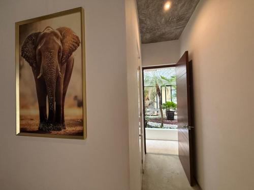 a hallway with a picture of an elephant on the wall at Hotel Zendero Tulum in Tulum