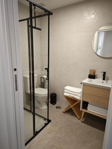 a bathroom with a toilet and a sink and a mirror at La Plácida in Cáceres