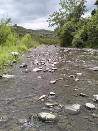 a river with rocks in the water and trees at Casa Campestre con piscina privada- Anapoima in Anapoima