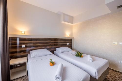Gallery image of Hotel Terra in Novalja
