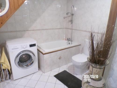 une salle de bain avec machine à laver et toilettes dans l'établissement chambre chez l'habitant chez myriame, à Eurville