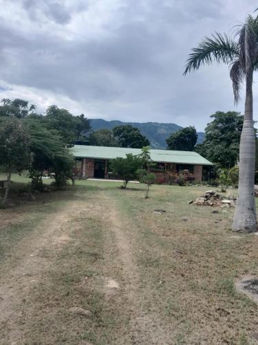 a house with a palm tree in front of it at Casa Campestre con piscina privada- Anapoima in Anapoima