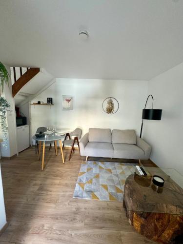 un salon avec un canapé et une table dans l'établissement Le patio, T2 en centre ville, à Montauban