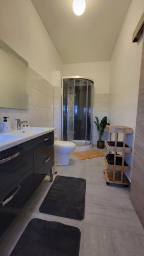 une salle de bain avec un lavabo, des toilettes et une douche dans l'établissement Maison Hormidas, à Crouseilles