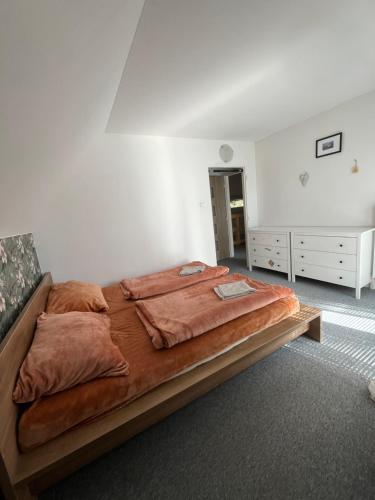 a bedroom with a large bed in a room at Randy's House Plzeň in Plzeň