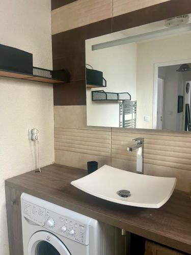 une salle de bain avec un lavabo et une machine à laver dans l'établissement Le Toulousain T3 Parking Calme, à Toulouse