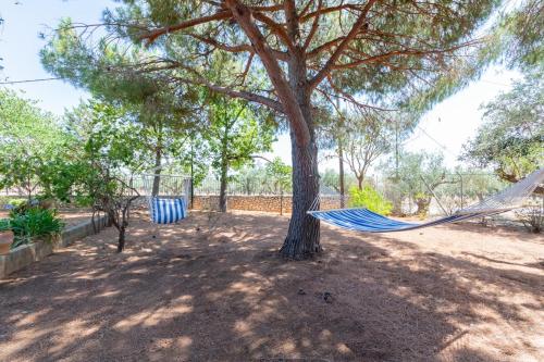 a hammock hanging from a tree in a park at Pinest in Rikia