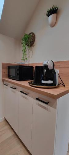 a kitchen with a counter top with a microwave at Votre Refuge Urbain Logement Complet pour Étudiants et Pros in Fougères