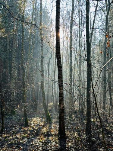 Gallery image of Domek Kacprowy w Lipnicy - wraz z ogrodem na wyłączność in Lipnica