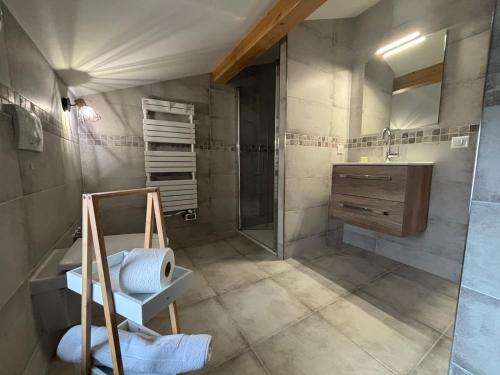 un bagno con doccia e lavandino di L’auberge de Montsalier a Le Plan