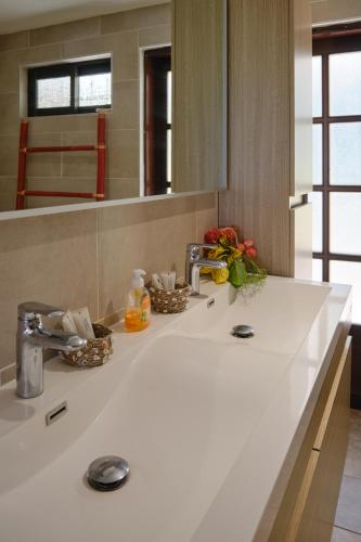 a bathroom counter with a sink and a mirror at Villa Te Torea in Arue