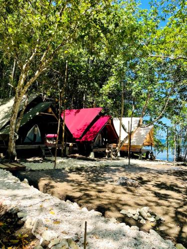 a group of tents in the shade of trees at Lainkalogos Glamping in Rabia