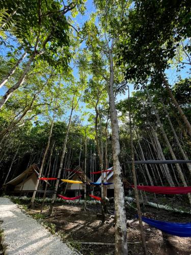a tent and a hammock in the woods at Lainkalogos Glamping in Rabia