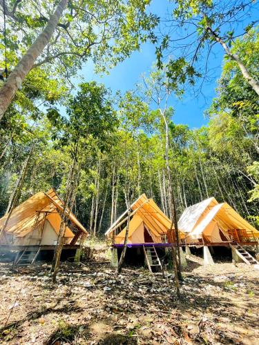 three tents in the middle of a forest at Lainkalogos Glamping in Rabia