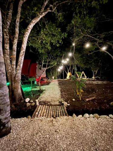 a path in a park at night with lights at Lainkalogos Glamping in Rabia