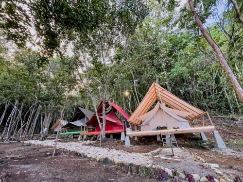 a group of tents in a forest with trees at Lainkalogos Glamping in Rabia
