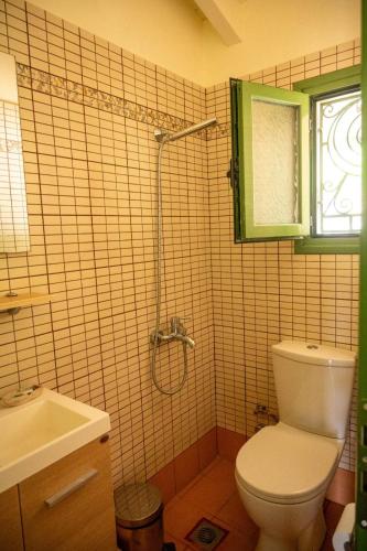 a bathroom with a toilet and a sink and a shower at Ouzaki House in Antipata