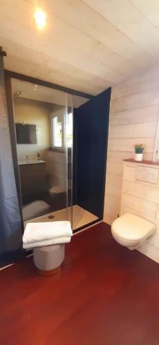 une petite salle de bain avec toilettes et douche dans l'établissement Lilonna Ocean gite de charme océan, à Les Sables-dʼOlonne