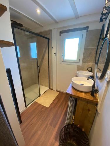une salle de bain avec une douche en verre et un lavabo dans l'établissement Gîte du Faon - 2 à 6 personnes, à Lacaugne