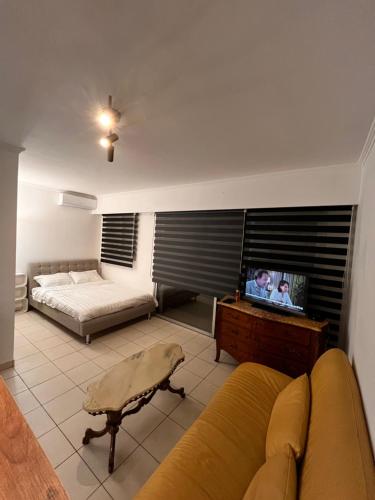 un salon avec un canapé et une télévision dans l'établissement Large Studio in Cannes near la Croisette and beach, à Cannes