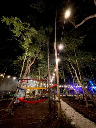 a street light next to trees at night at Lainkalogos Glamping in Rabia
