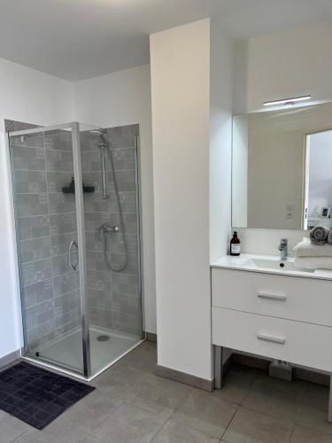 une salle de bain avec douche et lavabo dans l'établissement Cosy Apartment Vauban, à Nice
